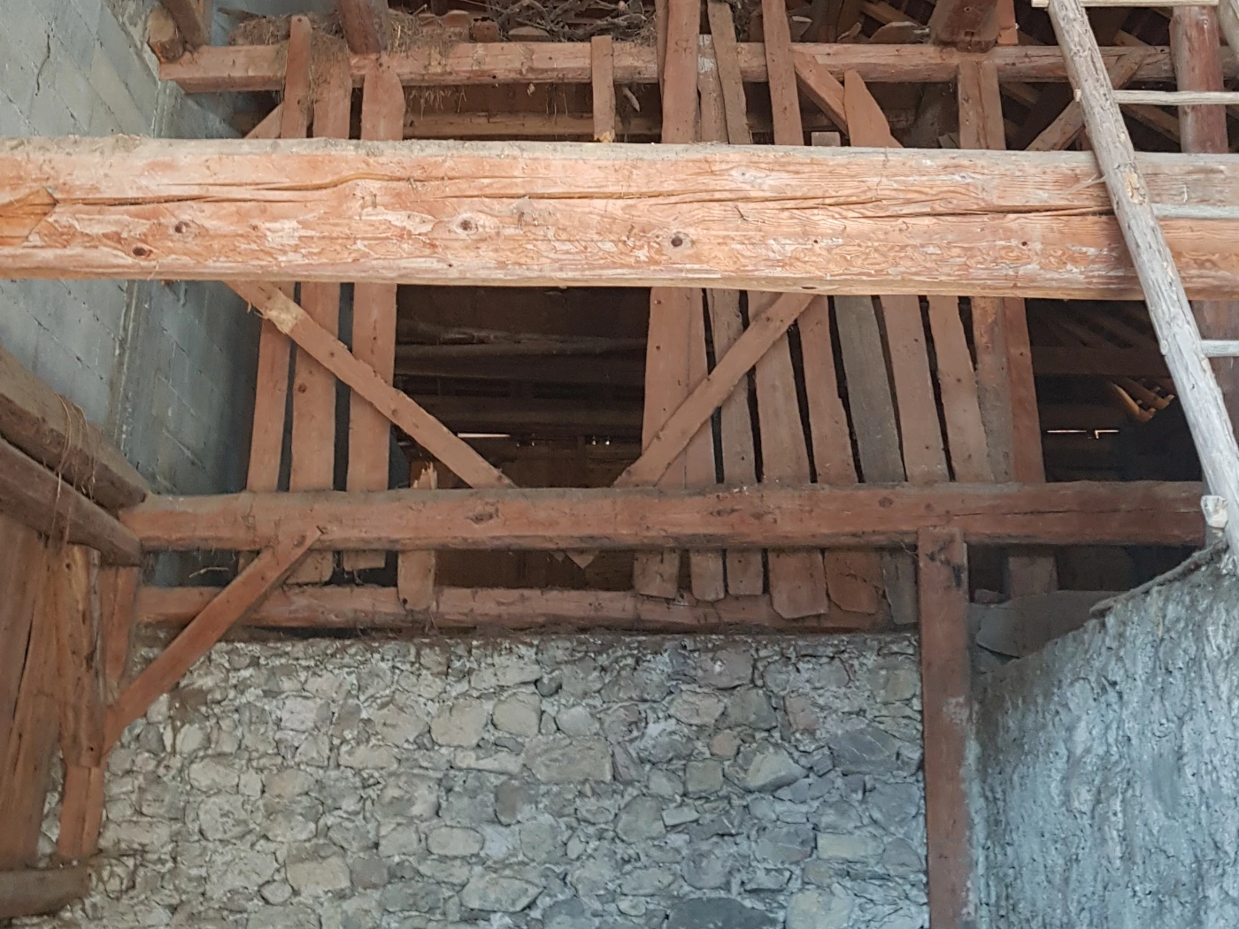 Grange inhabitée depuis 50 ans